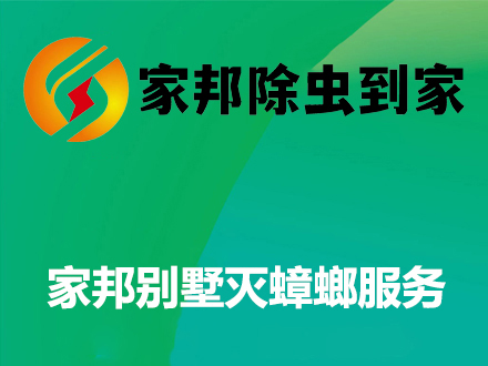 家庭别墅灭蟑螂