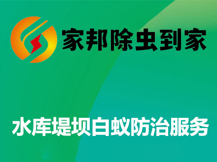 水库堤坝白蚁防治