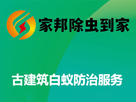 古建筑白蚁防治