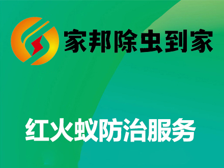 红火蚁防治服务