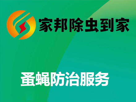 蚤蝇防治服务