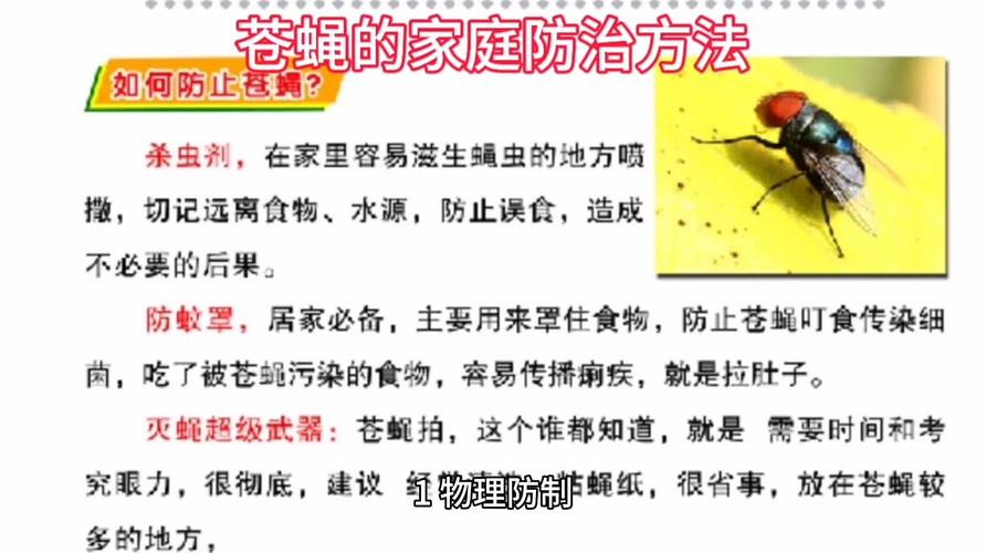 棕尾别麻蝇的危害与防治：了解习性保护家庭健康